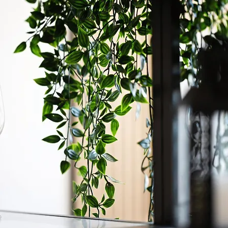 Apartament Apartment, Zentral & Ruhig Drezno