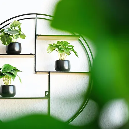 Apartment, Zentral & Ruhig Apartament