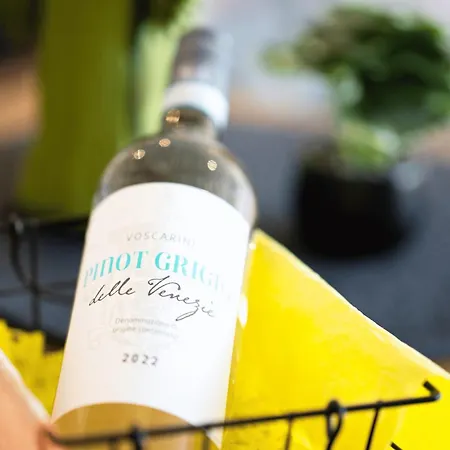 Apartment, Zentral & Ruhig * Drezno