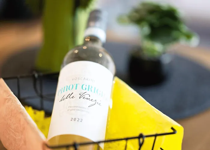 Apartment, Zentral & Ruhig * Dresden