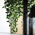 Апартаменты Apartment, Zentral & Ruhig Дрезден